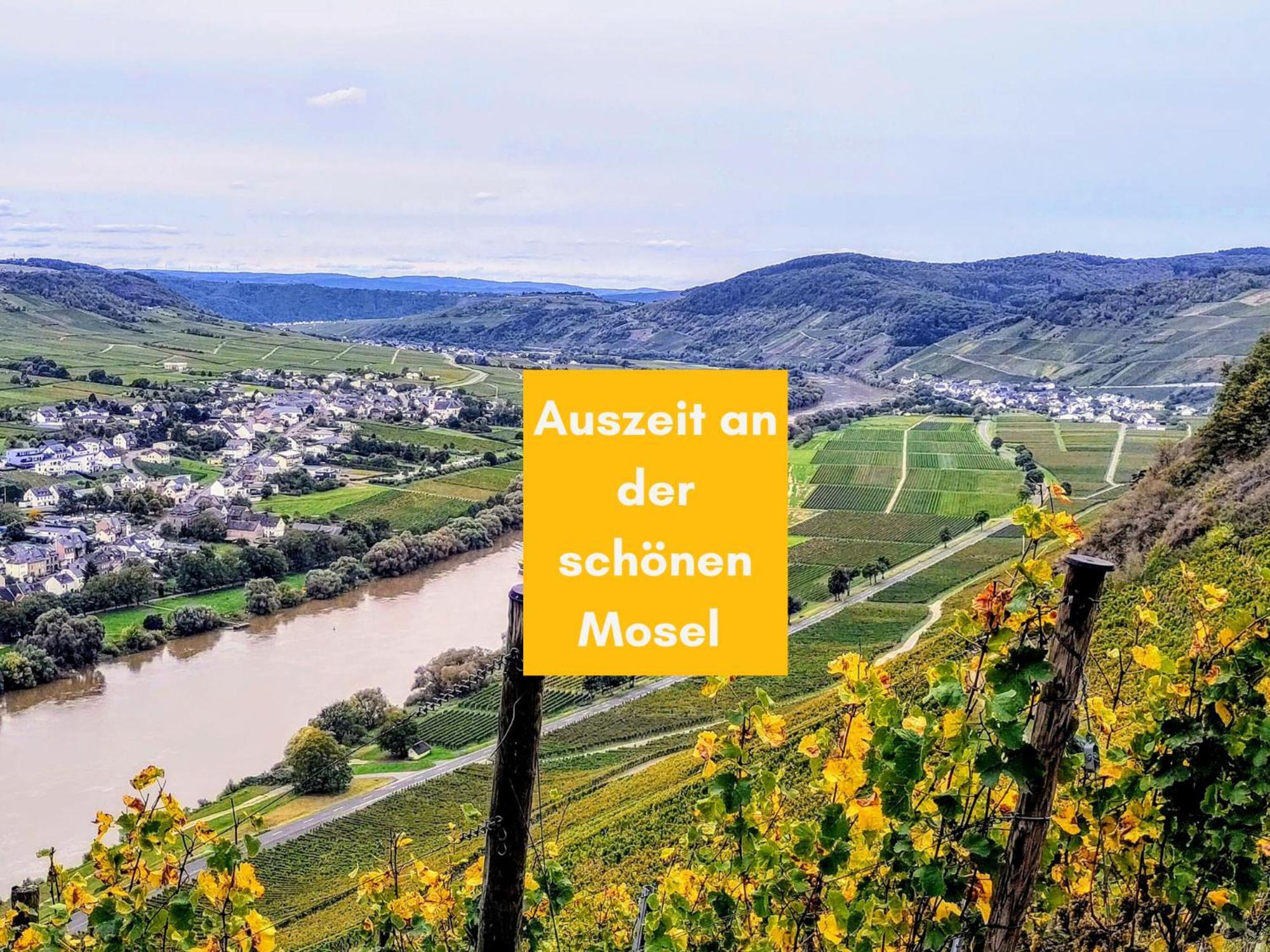 Komfort Fewo L Moselstay L Maximal 4 Personen Und Baby I Brauneberg Mosel I Wifi I Exteriör bild